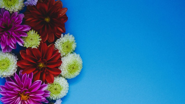 年首次代表 年首次代表