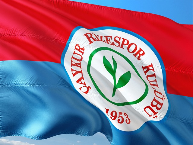 发展的重要 发展的重要