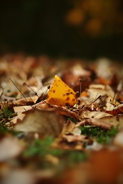 球队长期成 球队长期成