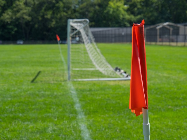 辉煌战绩 辉煌战绩