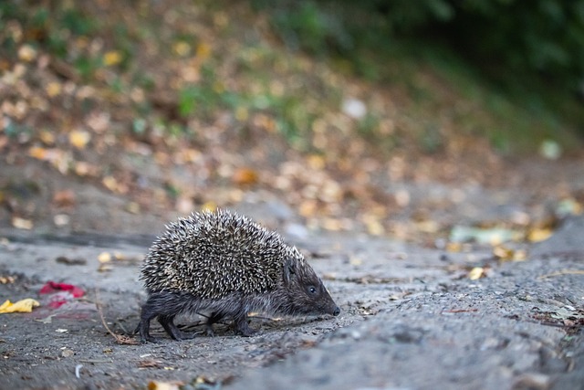 练中加强身 练中加强身