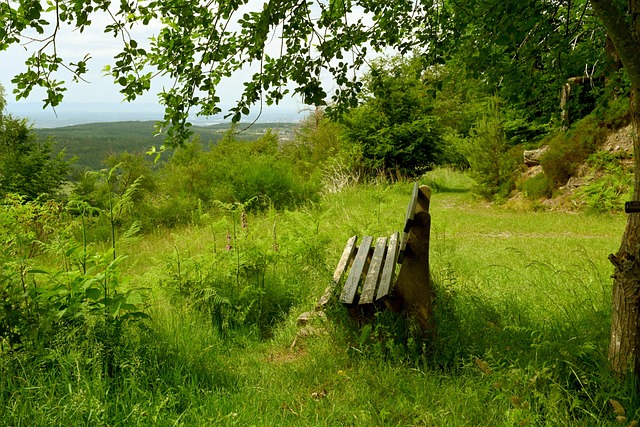 穩定射手的 穩定射手的