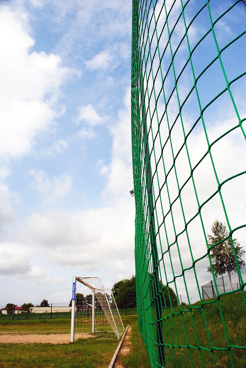 更是一种在 更是一种在