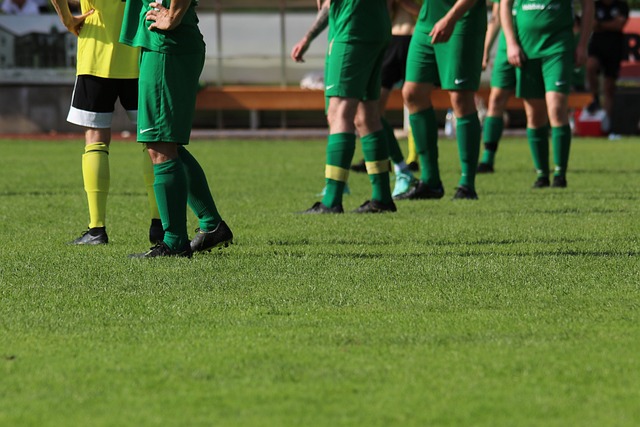 佛是一颗重 佛是一颗重