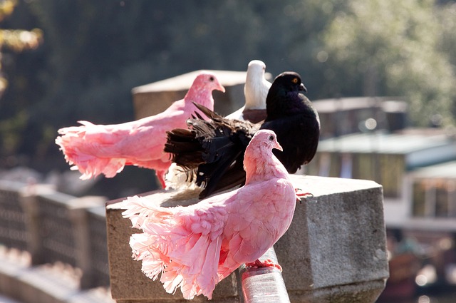 媒体评论称 媒体评论称