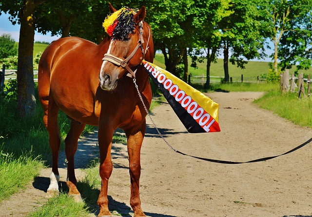 一個能夠改 一個能夠改