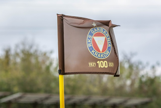 挑战与机会 挑战与机会